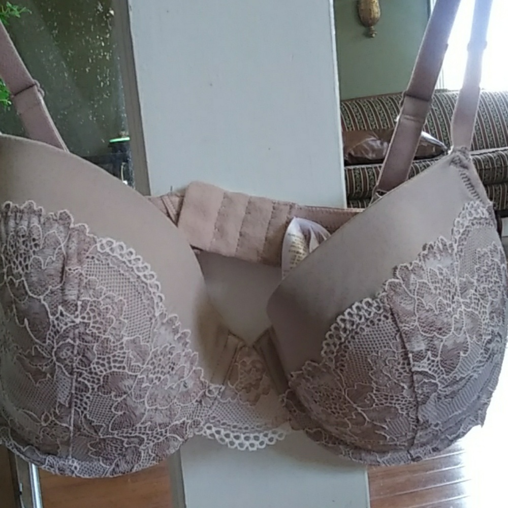 Dorina 36 D